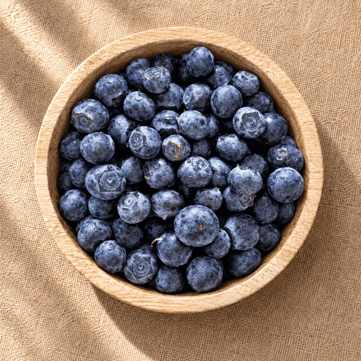 Premium Freeze-Dried Blueberry - 2